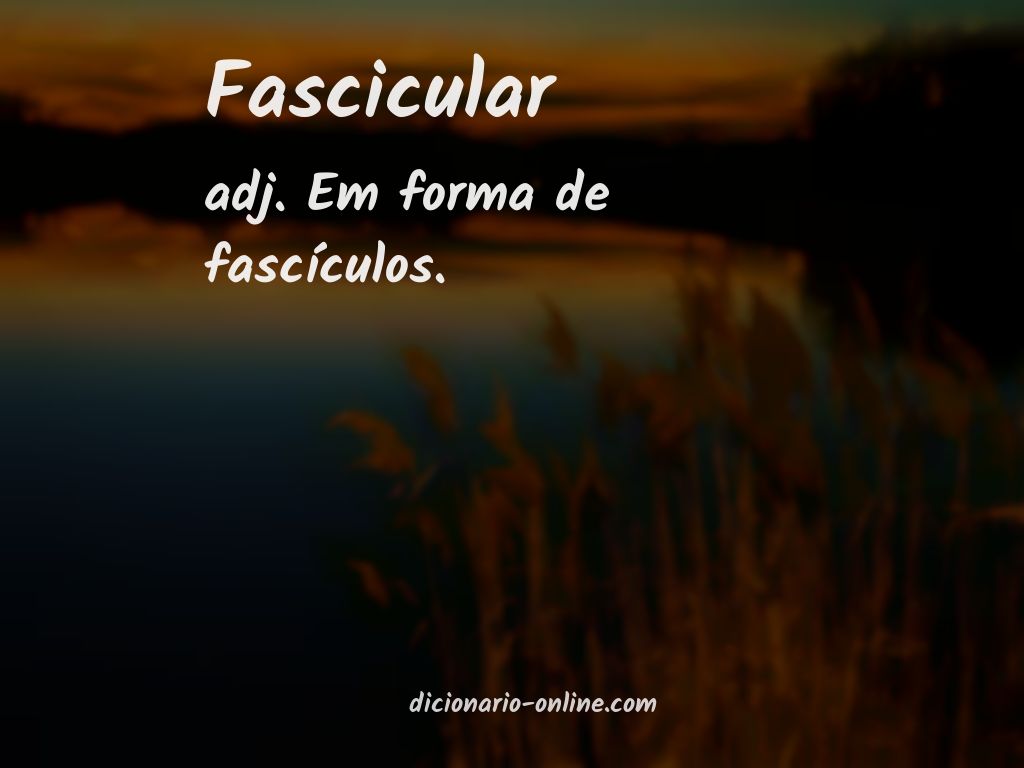 Significado de fascicular