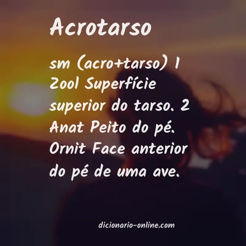 Significado de acrotarso