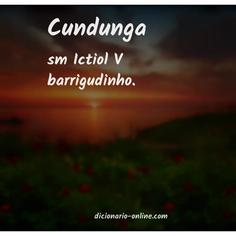 Significado de cundunga
