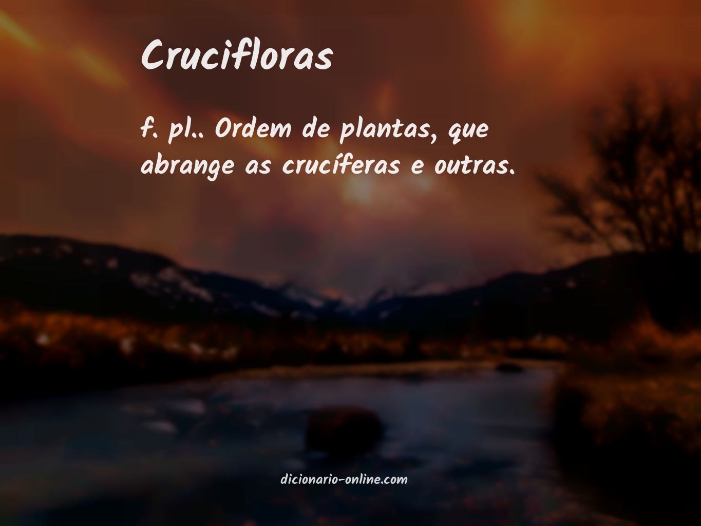 Significado de crucifloras