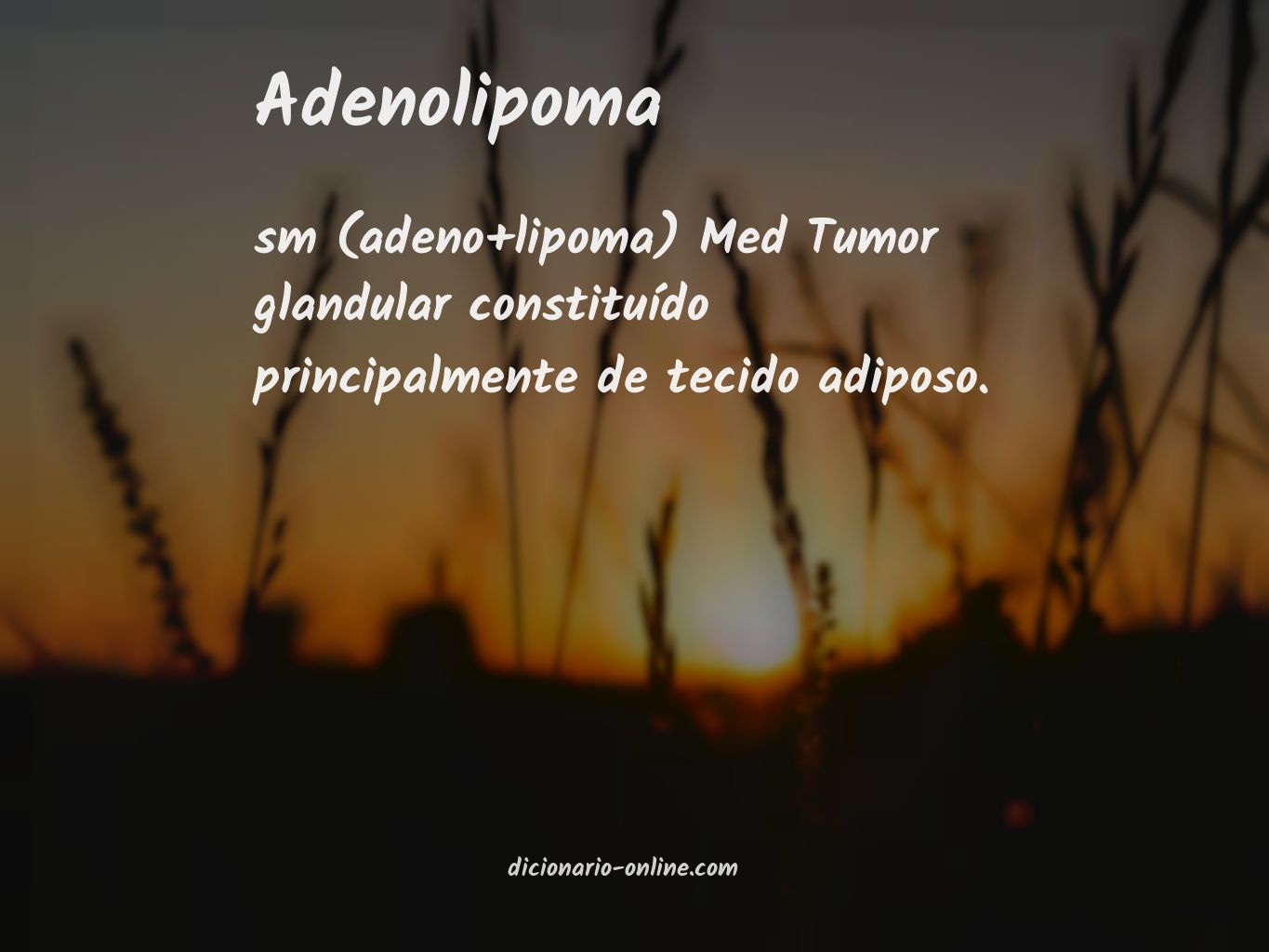 Significado de adenolipoma