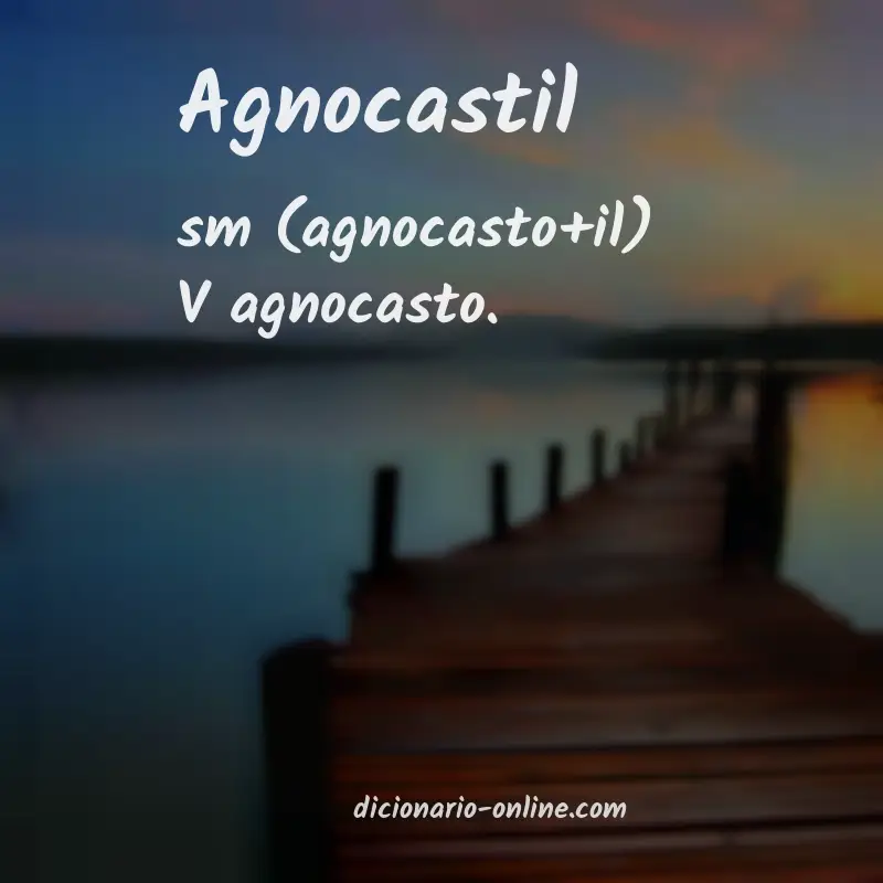 Significado de agnocastil