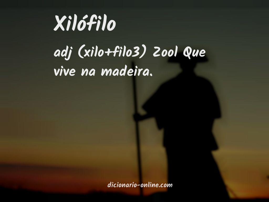 Significado de xilófilo