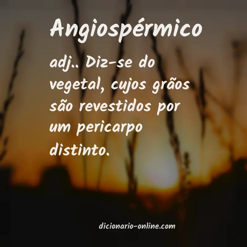 Significado de angiospérmico