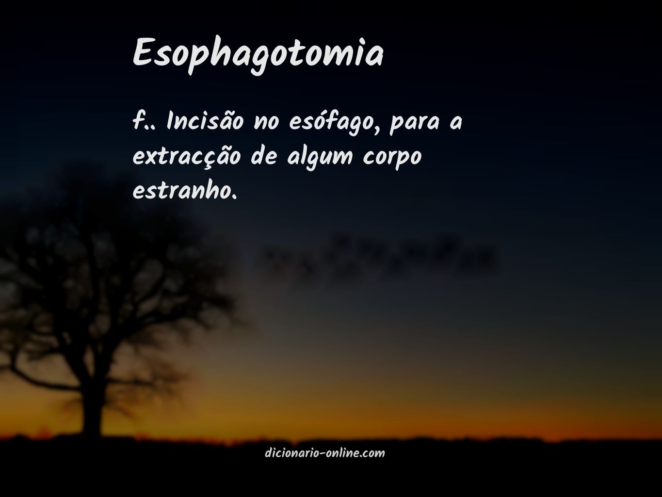 Significado de esophagotomia