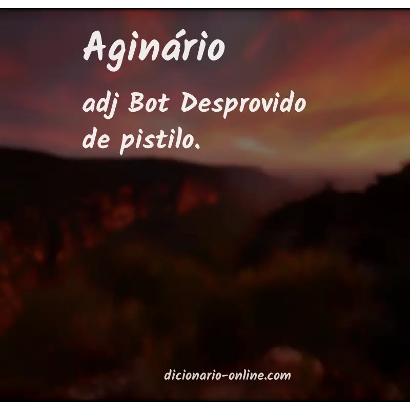 Significado de aginário