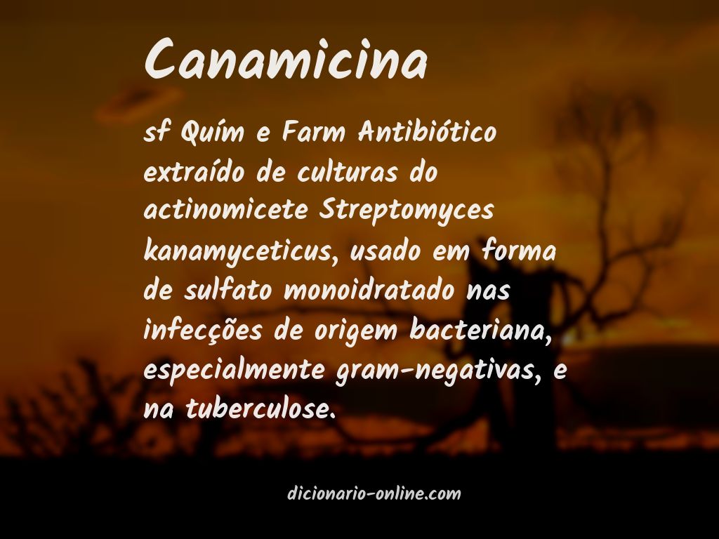 Significado de canamicina