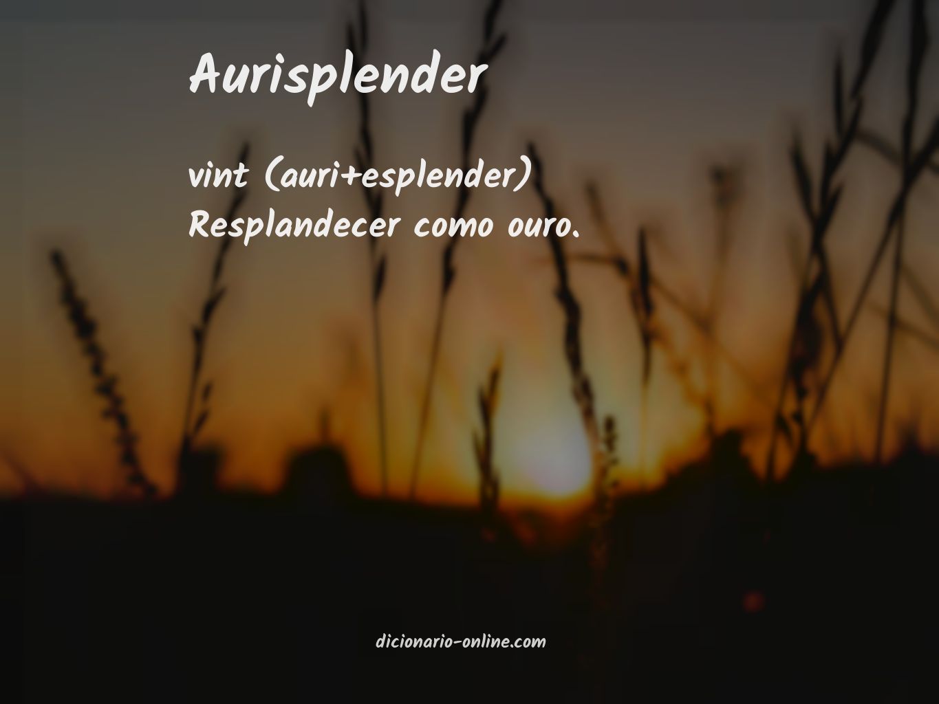 Significado de aurisplender