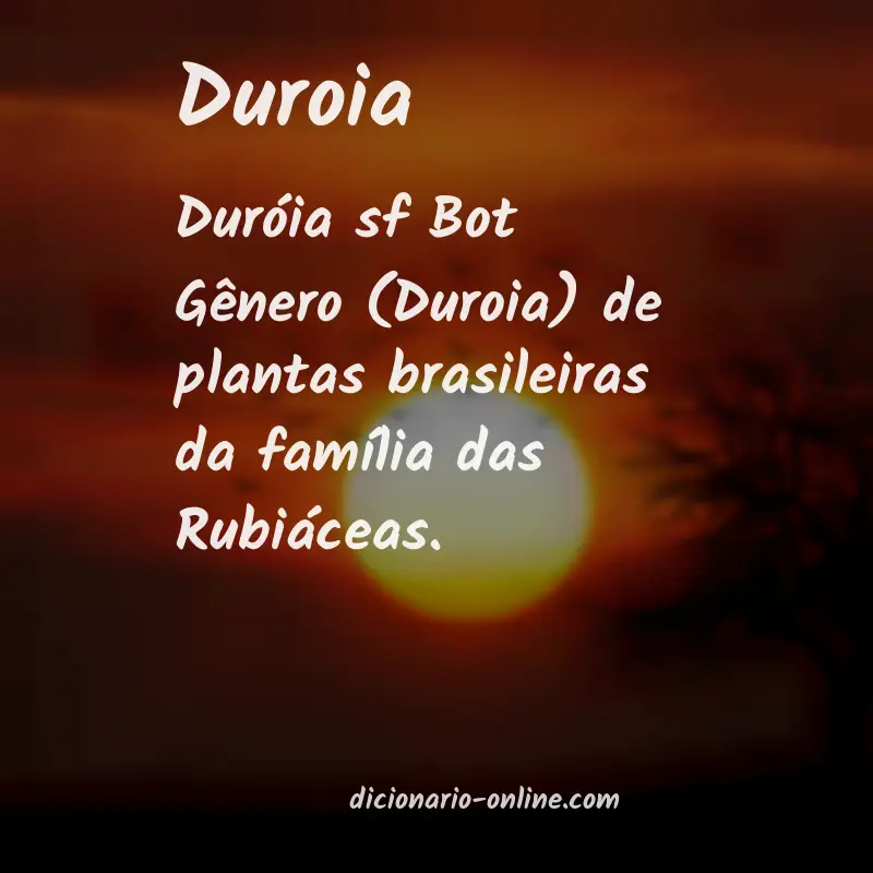 Significado de duroia