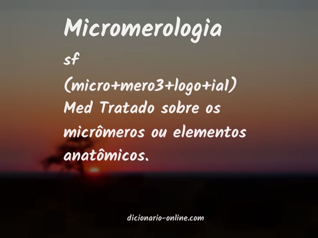 Significado de micromerologia
