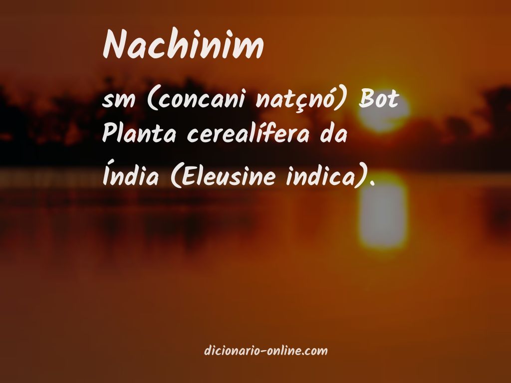 Significado de nachinim