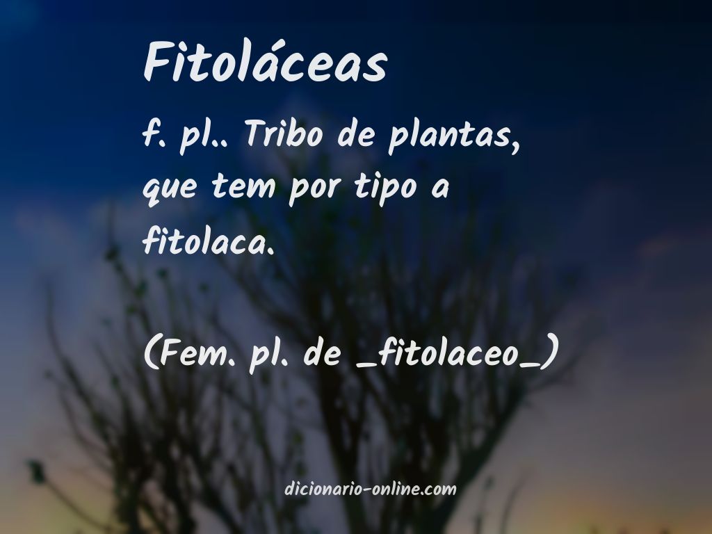 Significado de fitoláceas