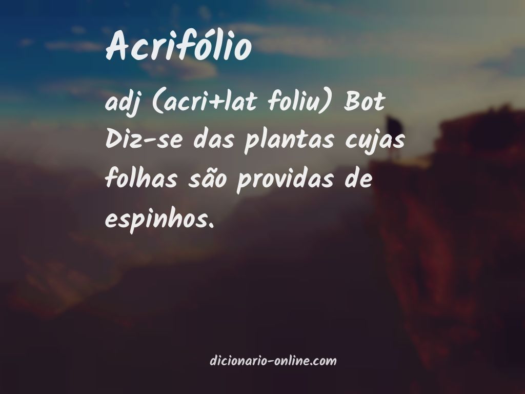 Significado de acrifólio