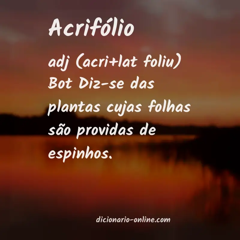 Significado de acrifólio