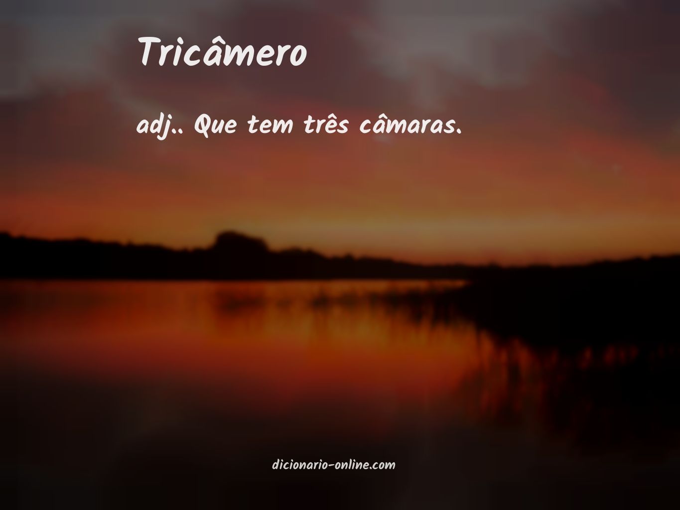 Significado de tricâmero