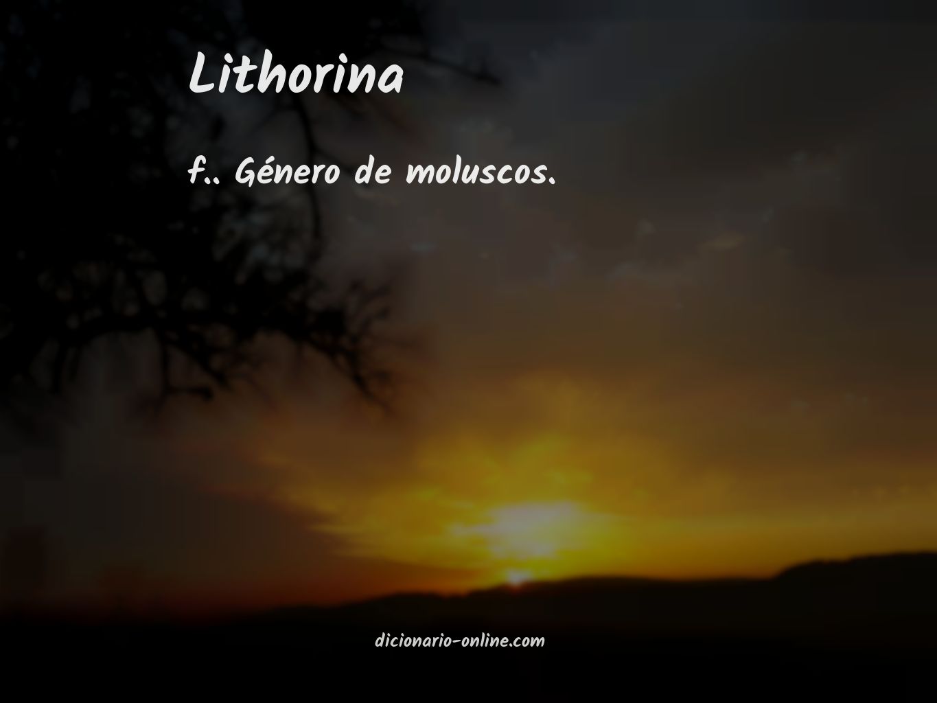 Significado de lithorina