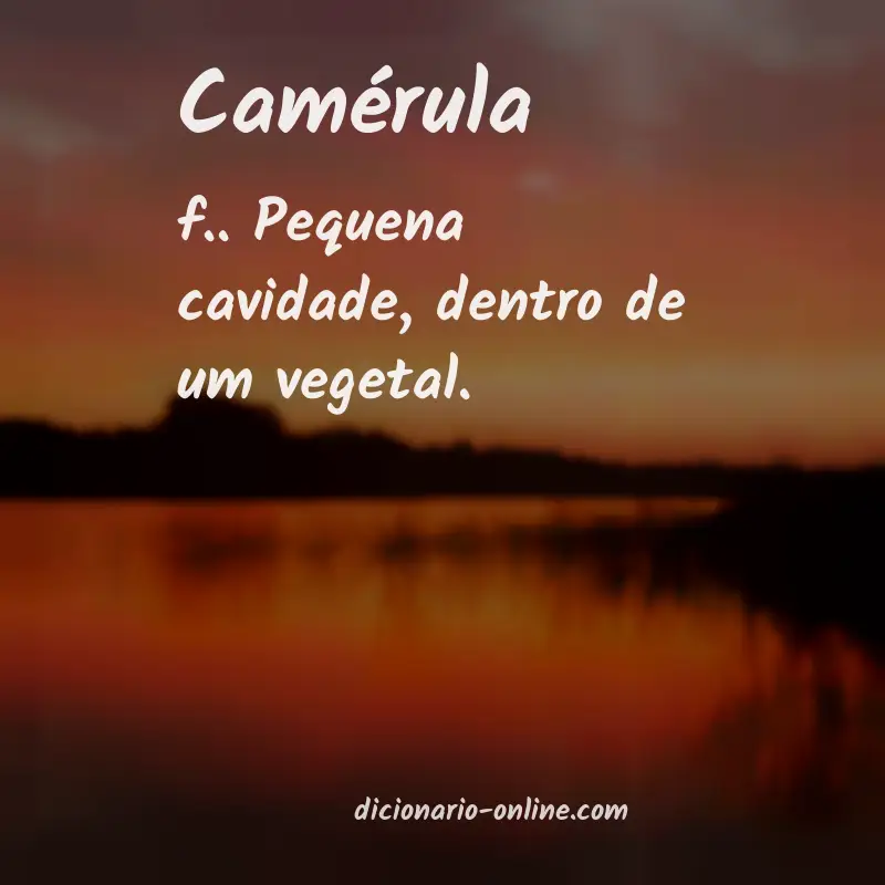Significado de camérula
