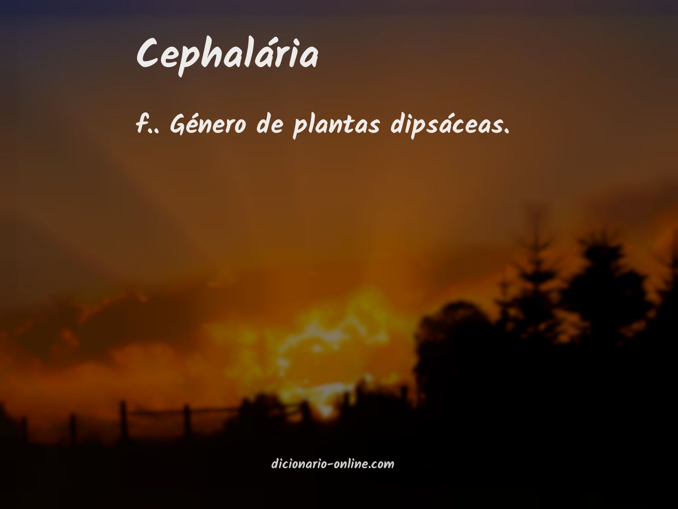 Significado de cephalária