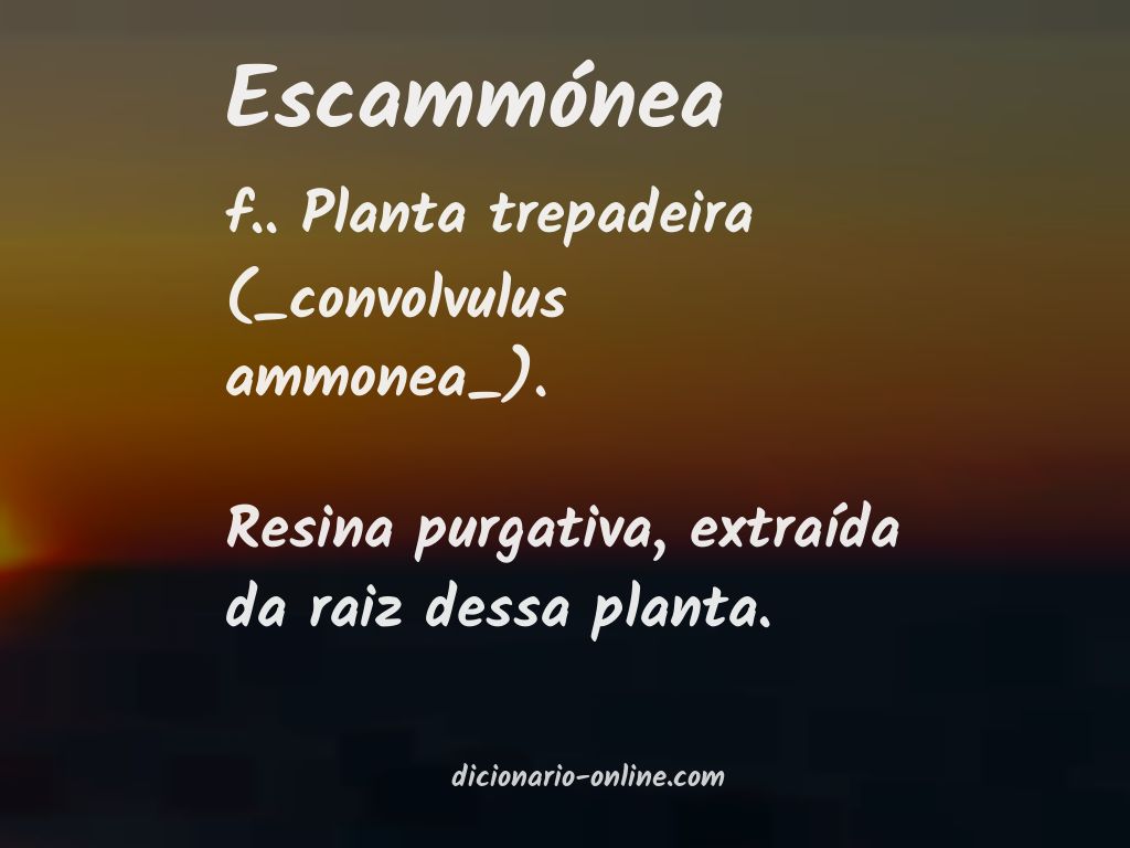 Significado de escammónea