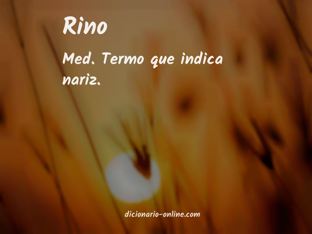 Significado de rino