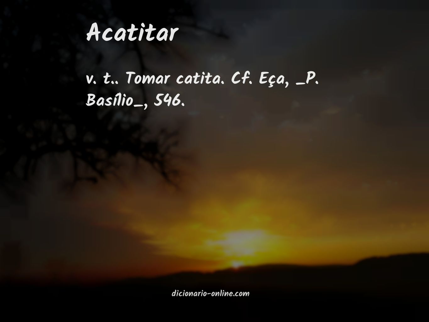 Significado de acatitar