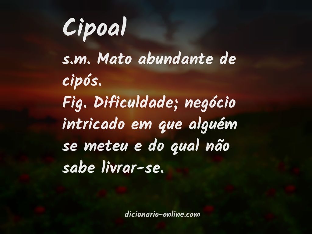 Significado de cipoal