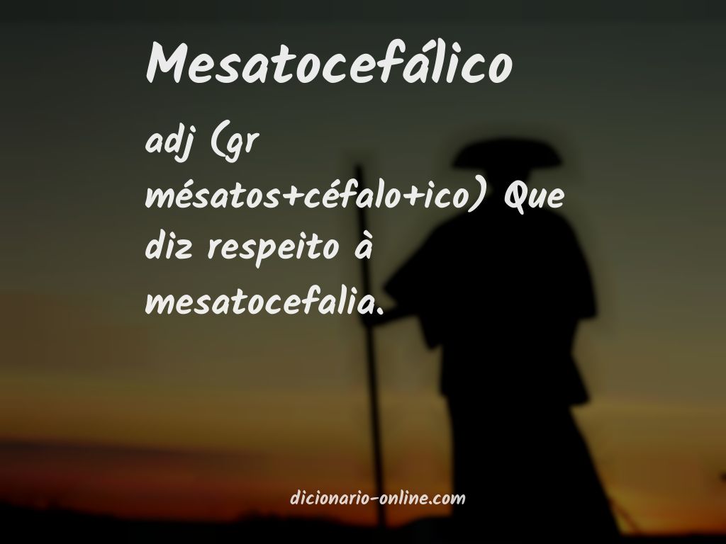 Significado de mesatocefálico