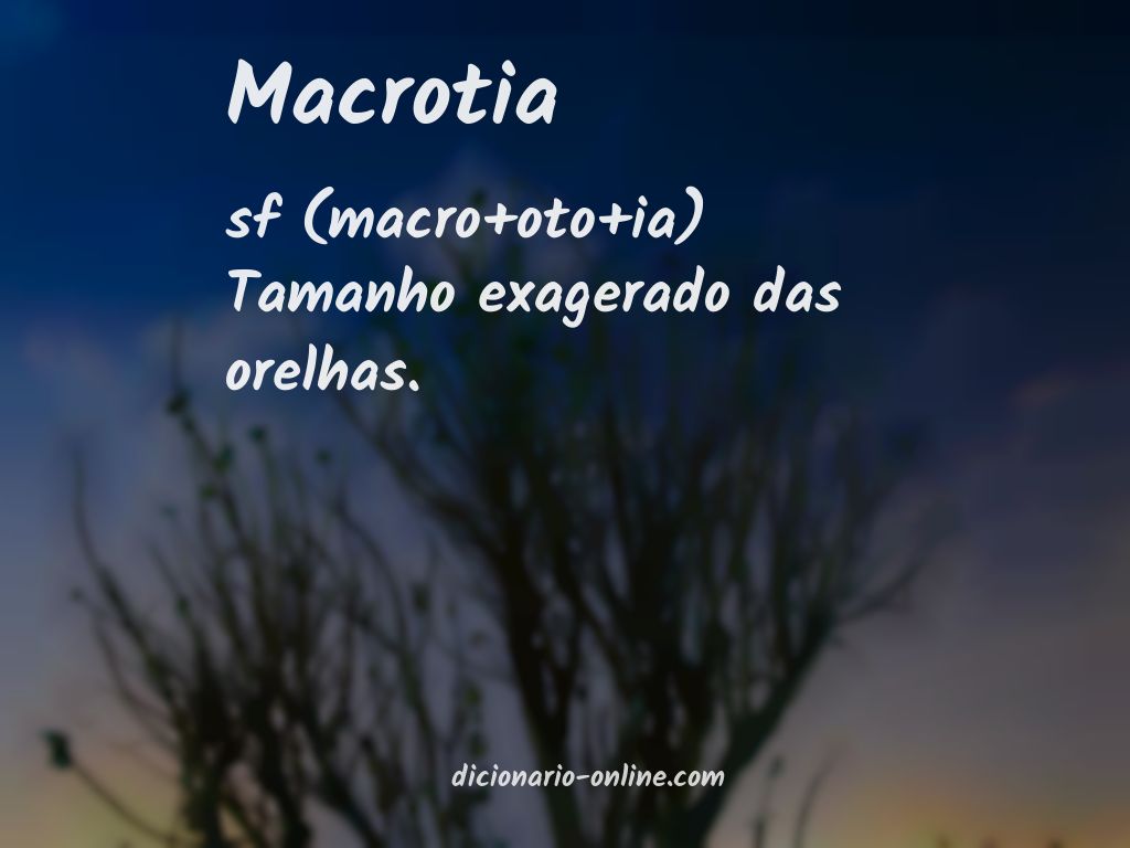 Significado de macrotia