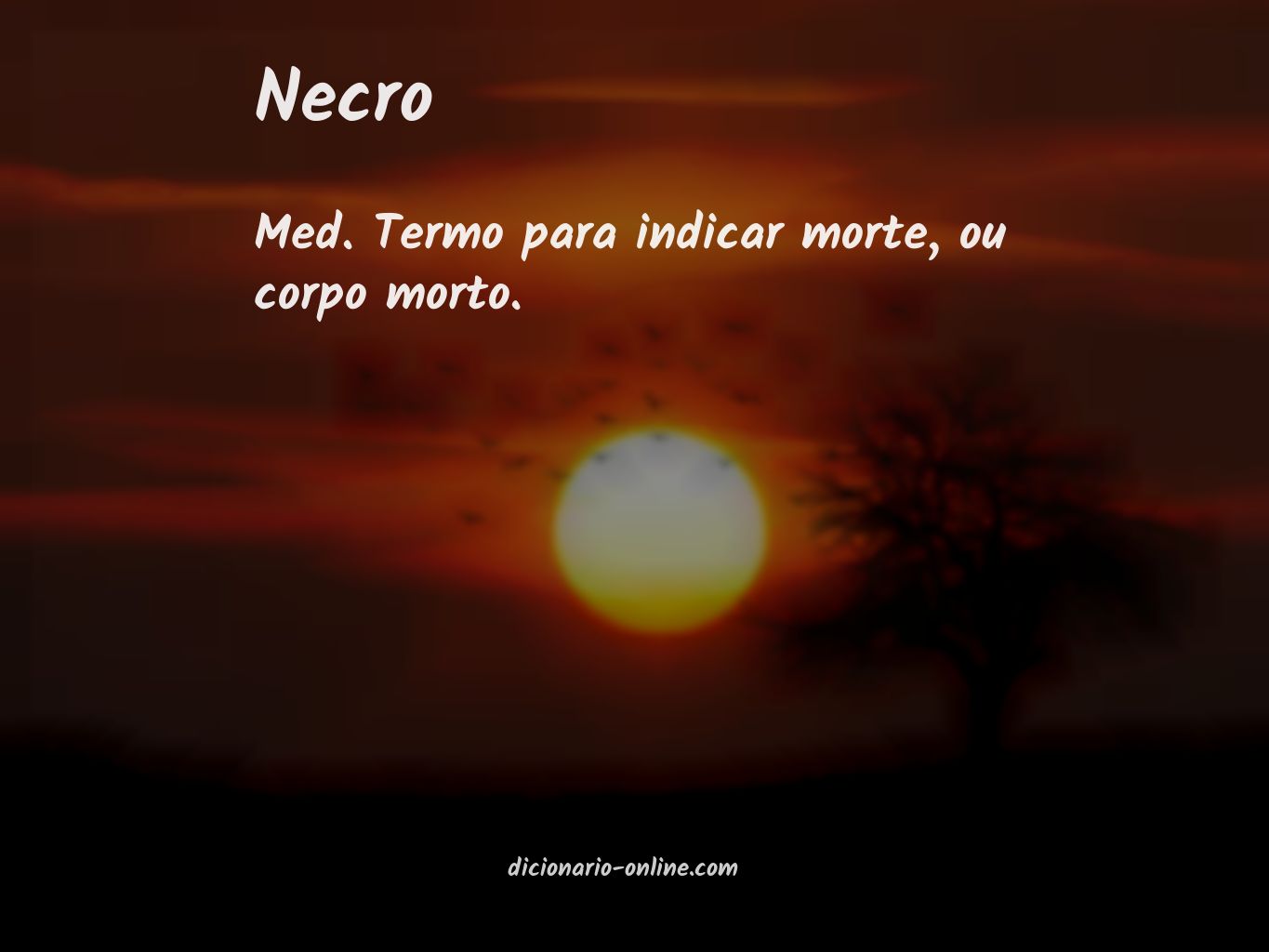 Significado de necro