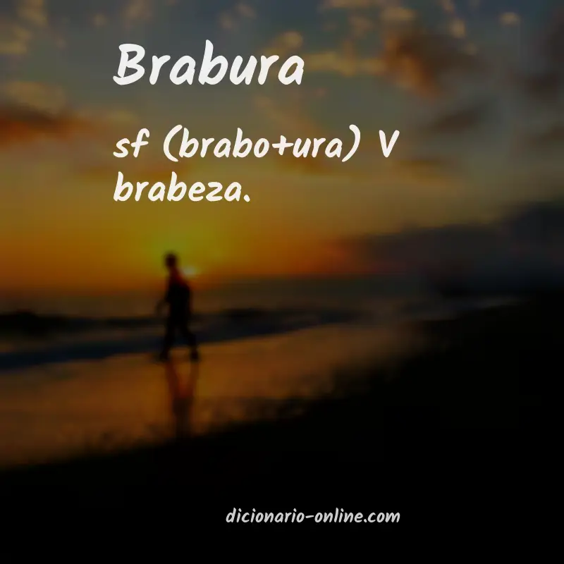 Significado de brabura