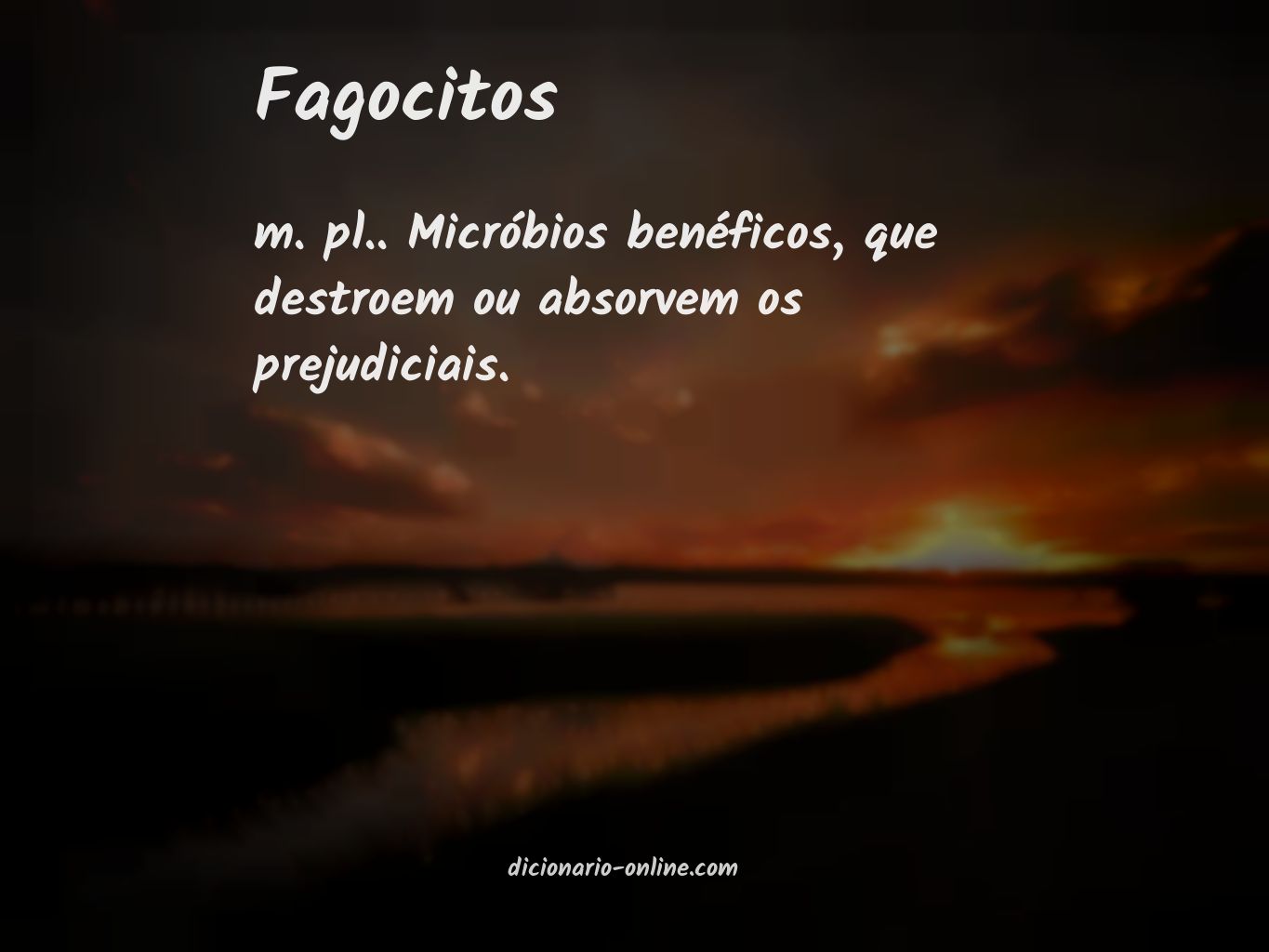Significado de fagocitos