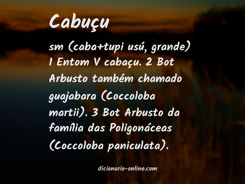 Significado de cabuçu