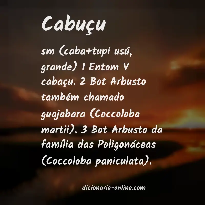 Significado de cabuçu