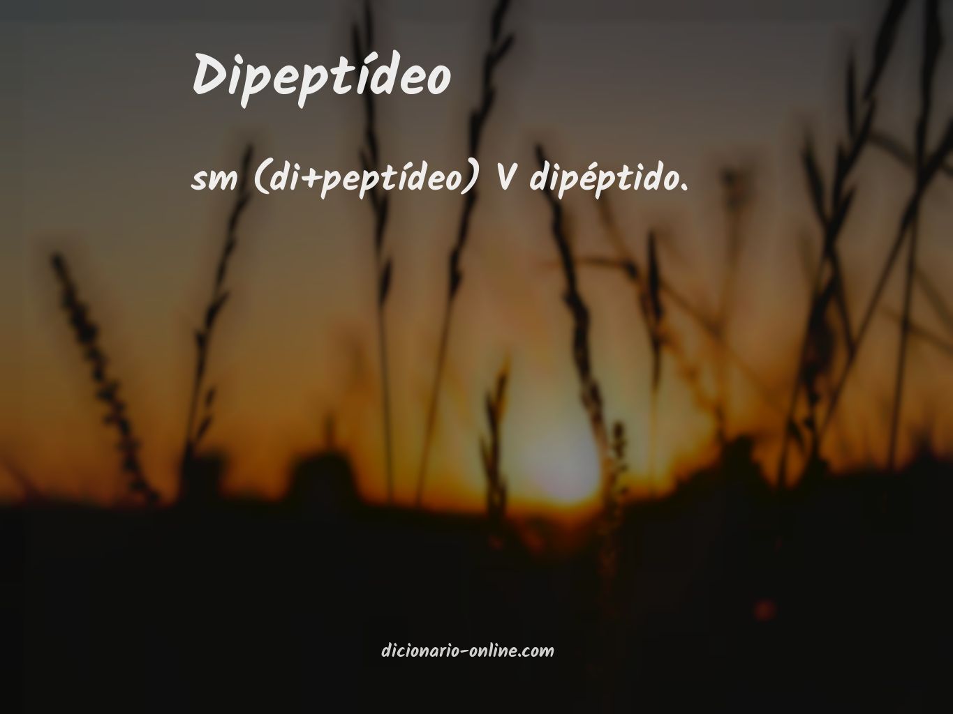 Significado de dipeptídeo