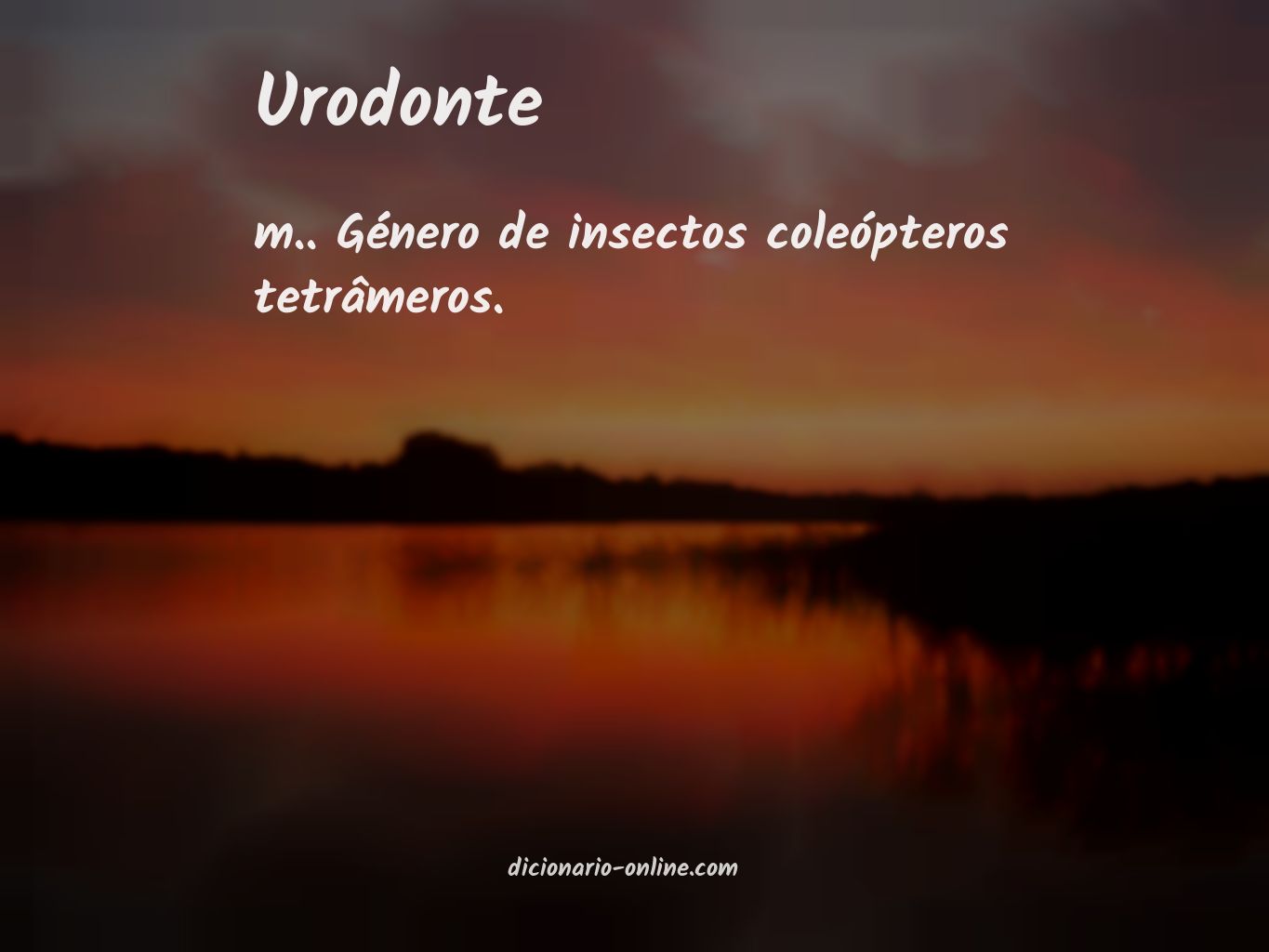 Significado de urodonte