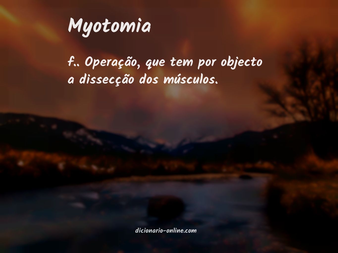 Significado de myotomia