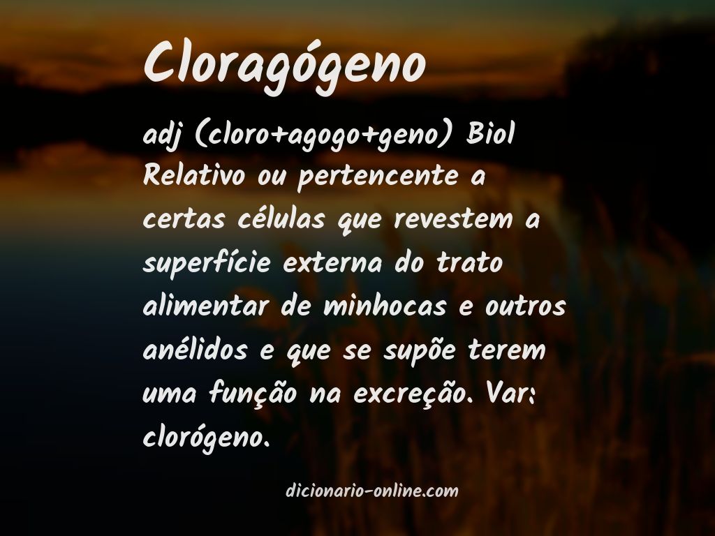 Significado de cloragógeno