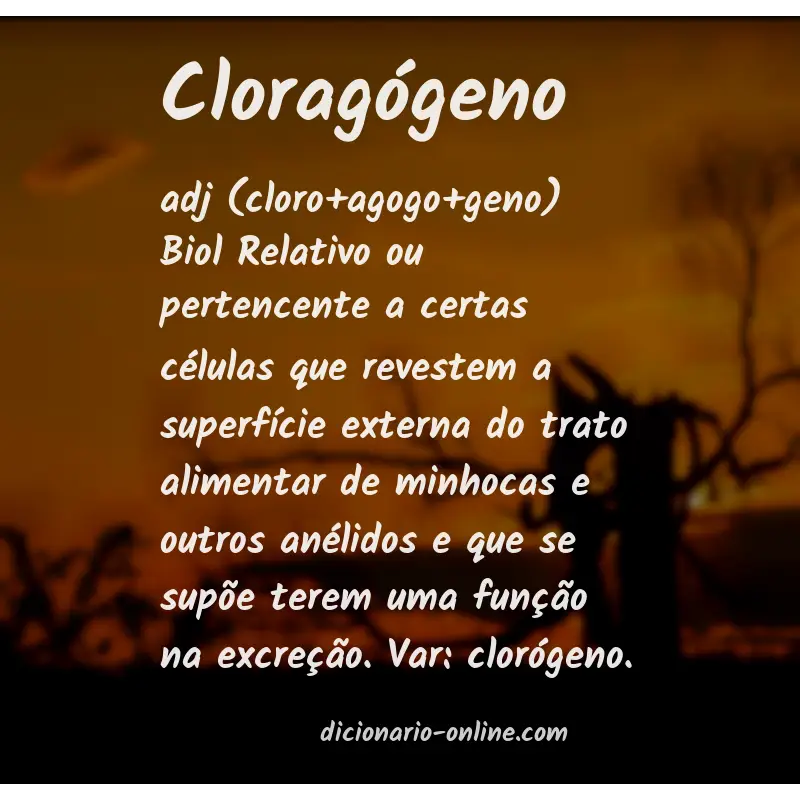 Significado de cloragógeno