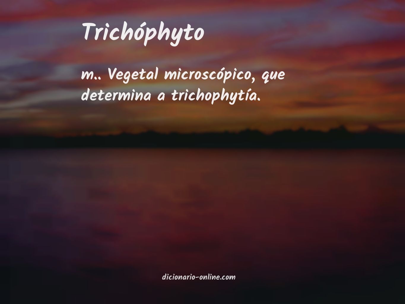 Significado de trichóphyto