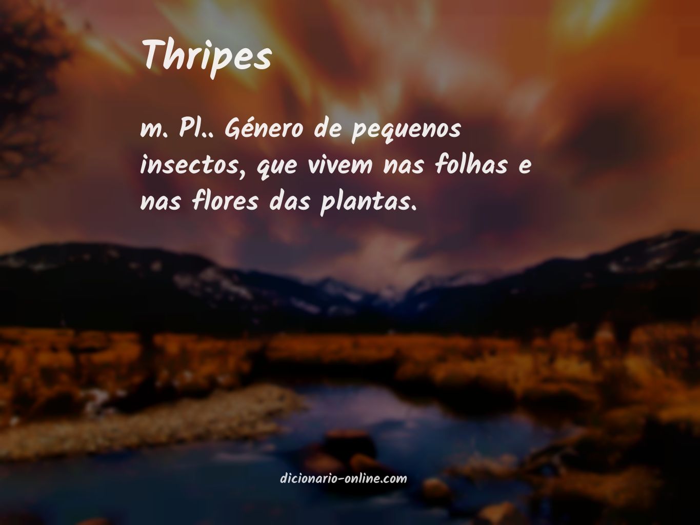 Significado de thripes