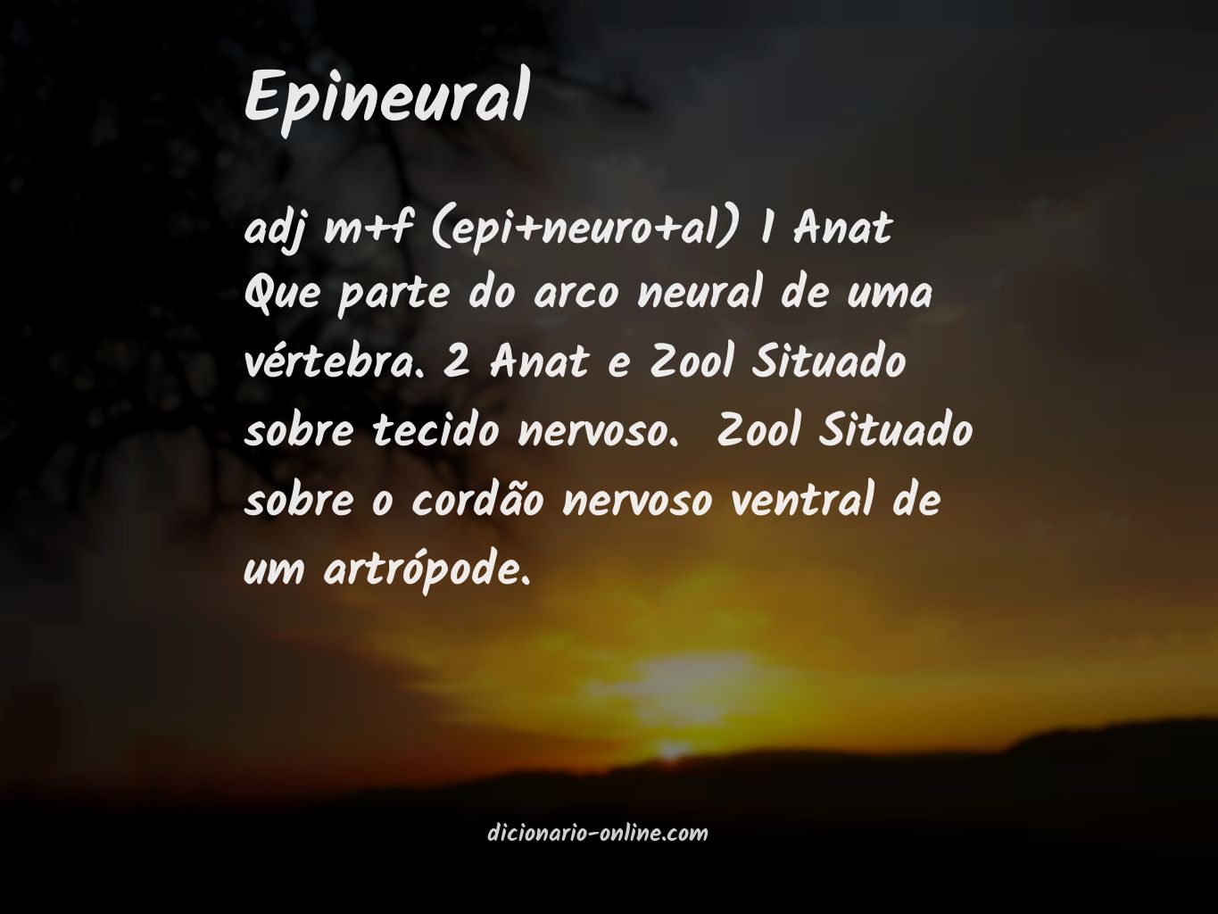 Significado de epineural
