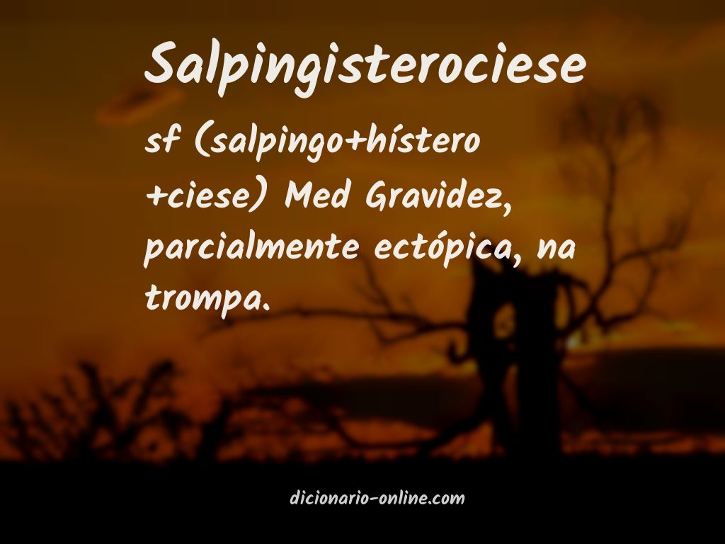 Significado de salpingisterociese