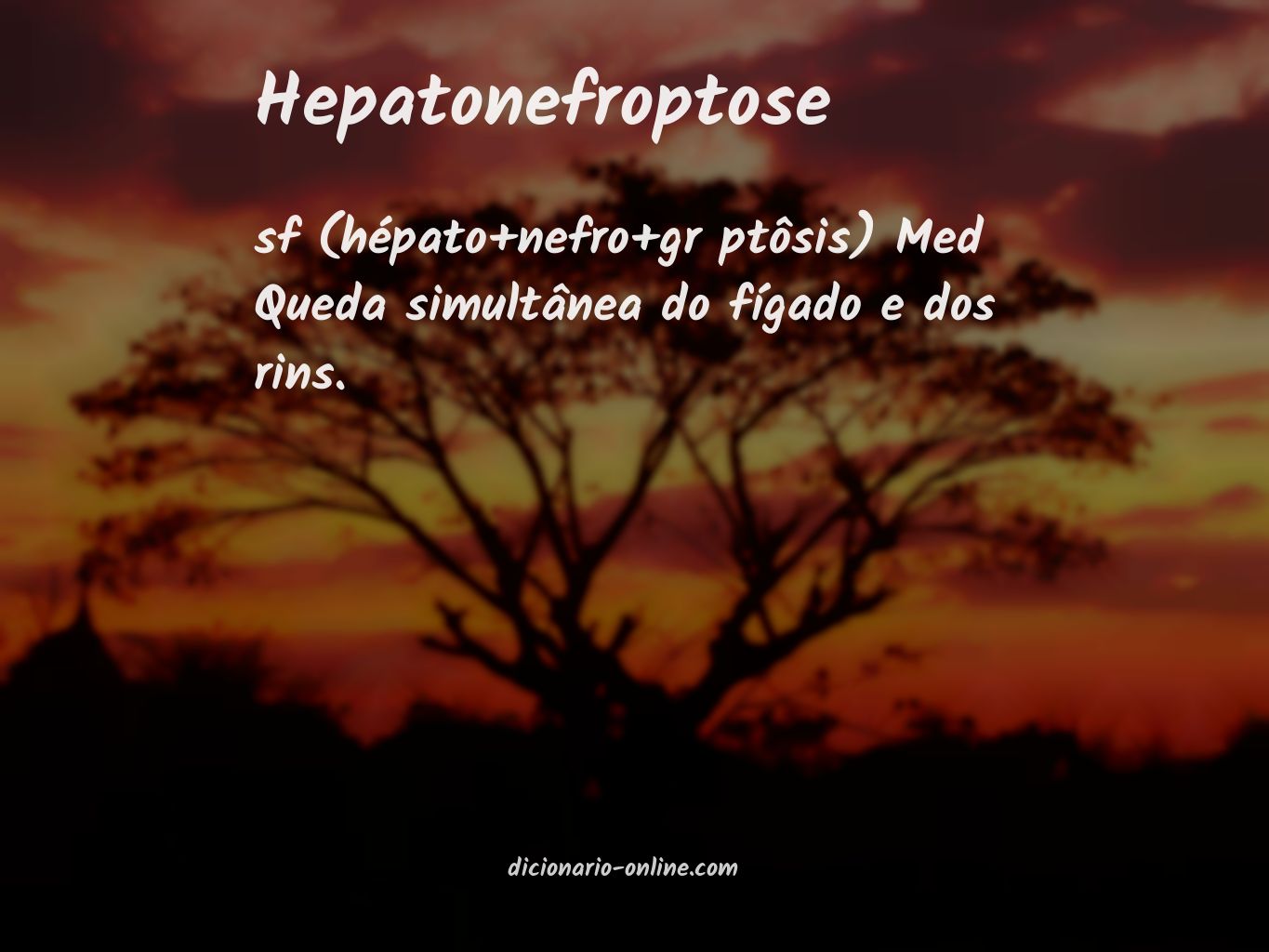 Significado de hepatonefroptose