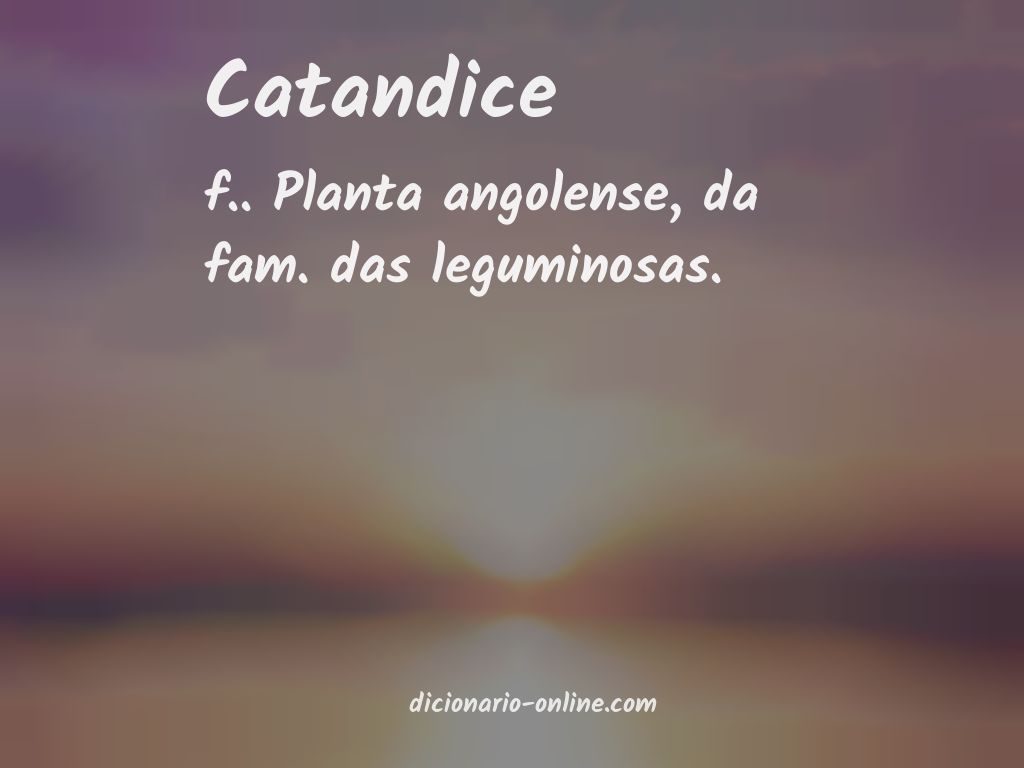 Significado de catandice