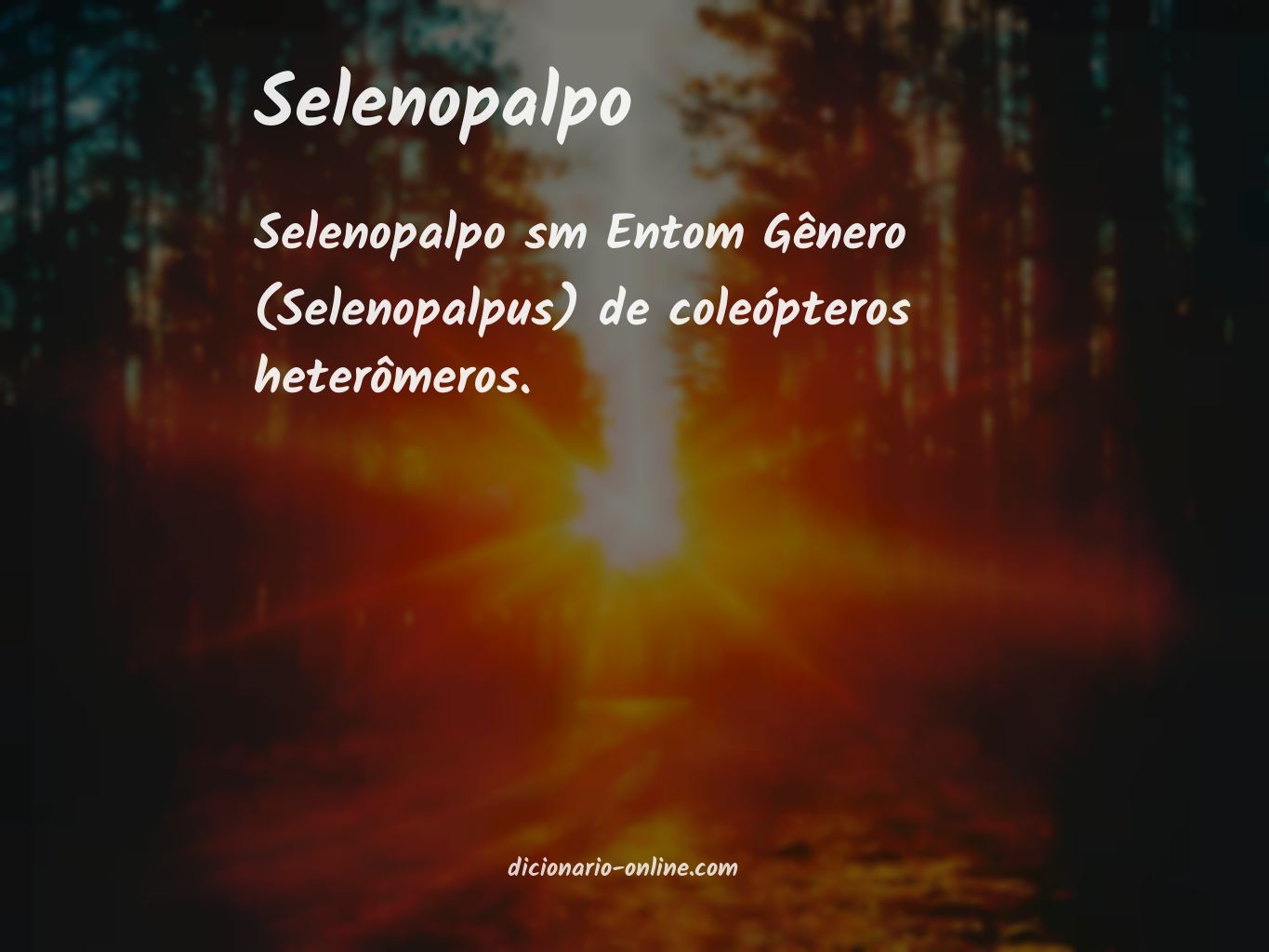 Significado de selenopalpo