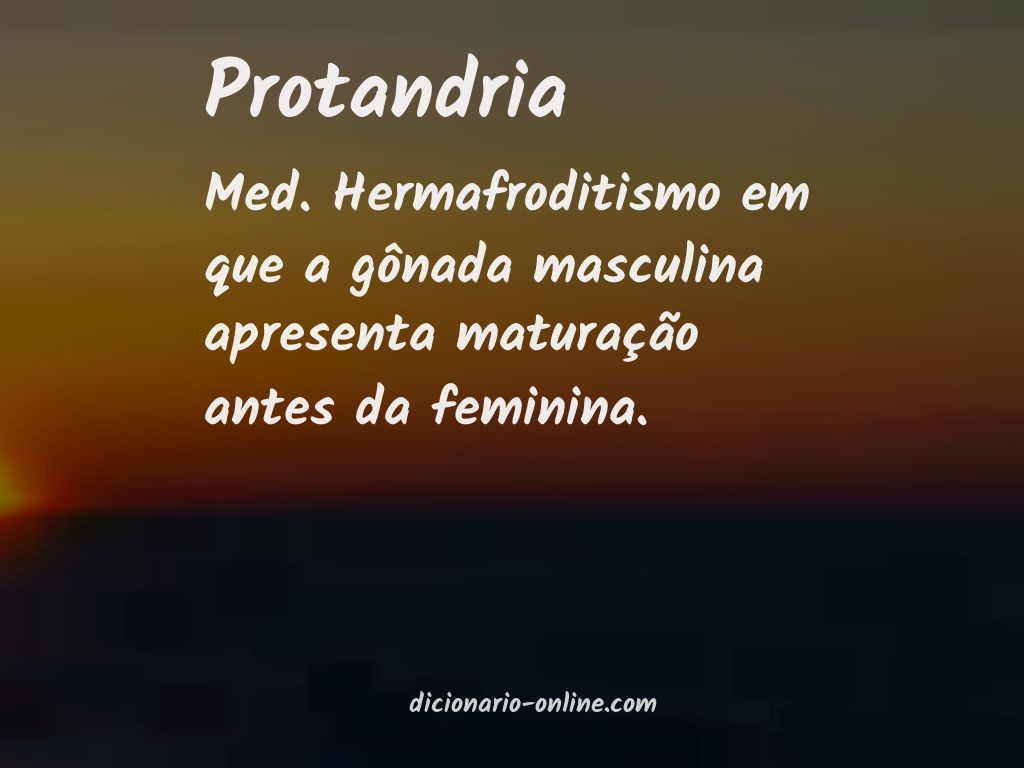 Significado de protandria