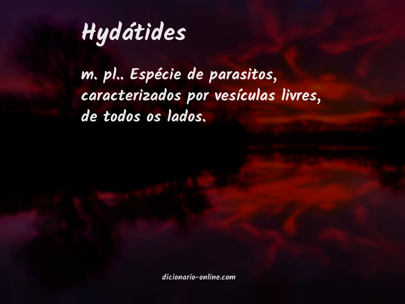 Significado de hydátides