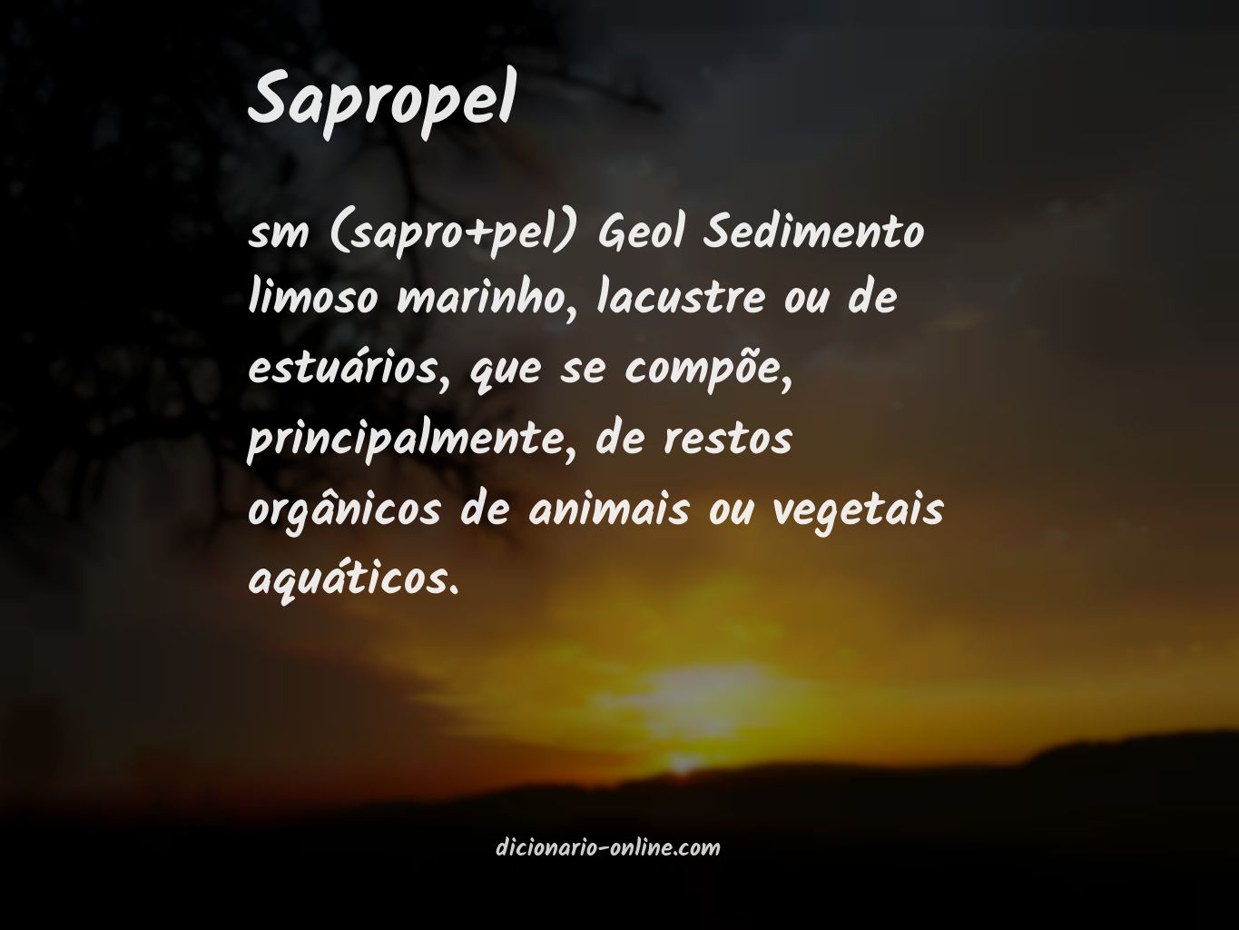 Significado de sapropel