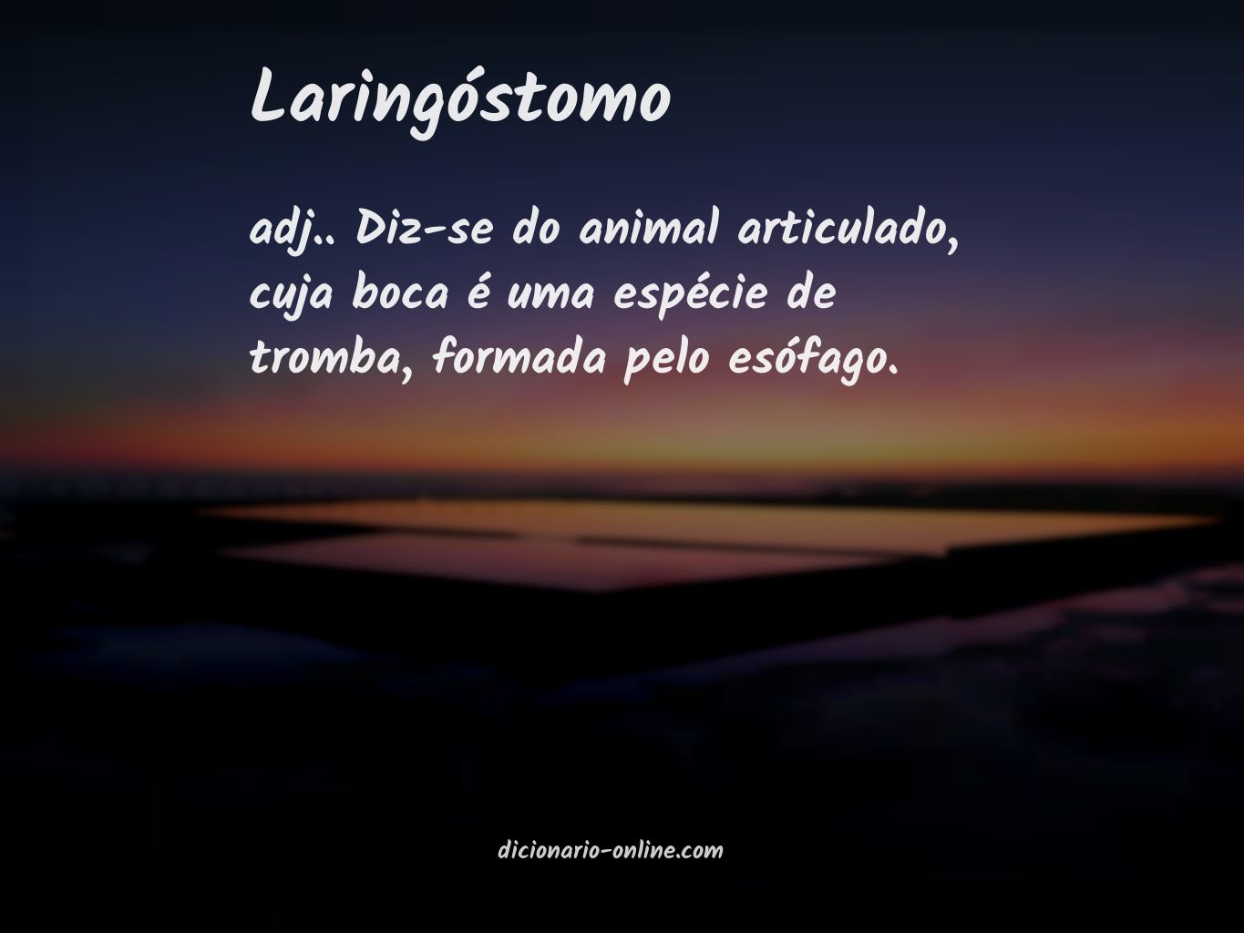 Significado de laringóstomo