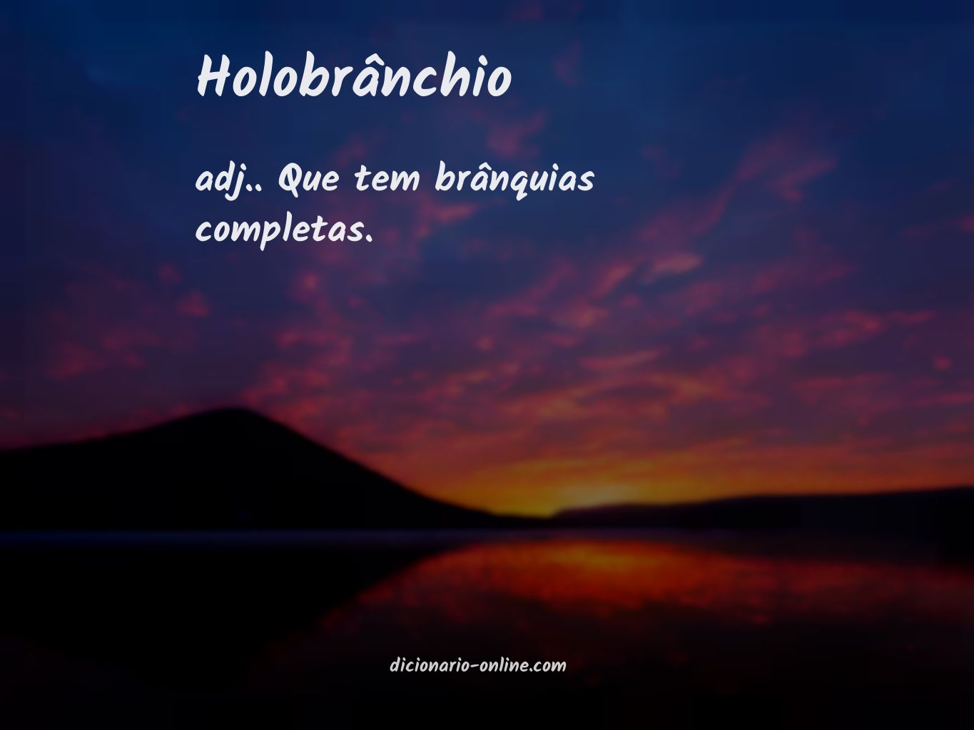 Significado de holobrânchio